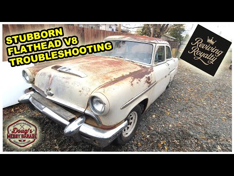 Видео: Возрождение королевской семьи: диагностика упрямого плоскоголового