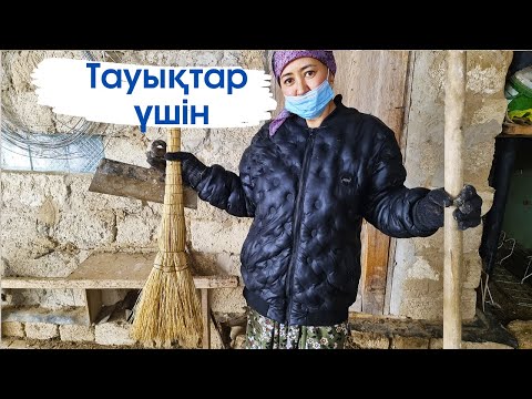 Видео: Vlog. Тауық қораны жинап,жудым.Тауықтар мәзғо