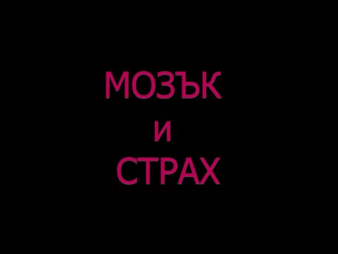 Видео: Мозък и Страх- защо всичко ме дразни, всичко е заплаха за мен? Стрес и раздразнение?