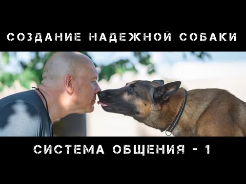 Видео: Система общения человека и собаки. Часть 1.
