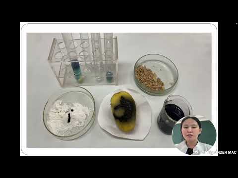 Видео: Тағам құрамында көмірсу, нәруыз, майларды анықтау / Қадыл Мөлдір