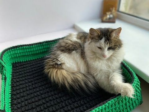 Видео: Лежанка для кота крючком из трикотажной пряжи