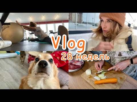 Видео: Пойду ли сдавать на права? моя тренировка 🧘🏽‍♀️Сэдди вновь виноват 😁бефстроганов 🥩VLOG