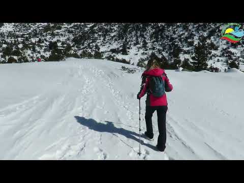 Видео: Снежна ваканция - Семково 2025