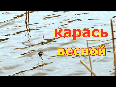 Видео: Ведро КАРАСЯ на удочку в начале апреля. Ловля карася на поплавок весной. С махом за карасем