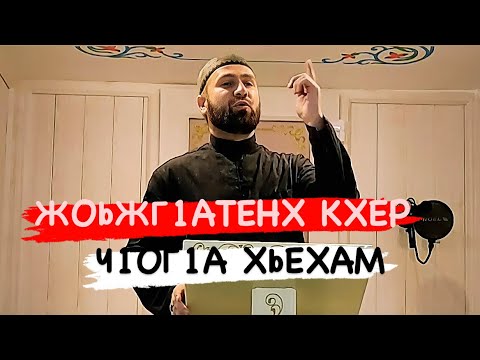 Видео: ХЬЕХАМ (ДАЛА АДМЕХА Т1УЛГЕХА ХЬАЛ ЛАТОР ЙОЛУ ЖОЬЖГ1АТЕ)