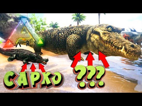 Видео: САМЫЙ ОГРОМНЫЙ КАЙМАН - Парк Динозавров - ARK Survival Evolved #3