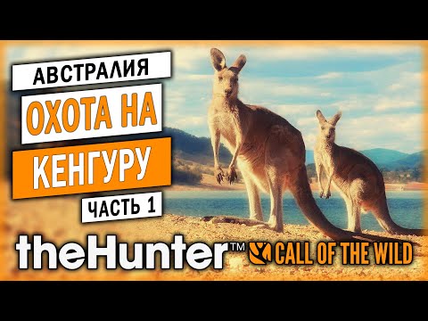 Видео: НОВЫЙ ЗАКАЗНИК С КЕНГУРУ В АВСТРАЛИИ! | Emerald Coast | theHunter Call of the Wild 🐊 | Часть #1