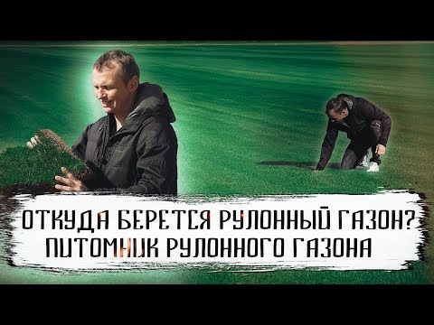 Видео: Как выращивают и срезают рулонный газон. Питомник рулонного газона