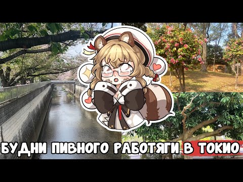 Видео: Почему в Японии это так кринжово.... | НиппонБлог #1