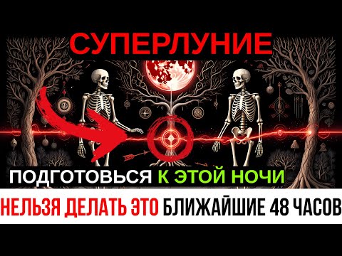 Видео: СУПЕРЛУНИЕ 6 НОЯБРЯ — ОДНА ОШИБКА УНИЧТОЖИТ ВСЁ | Не Делай ЭТО Сегодня!