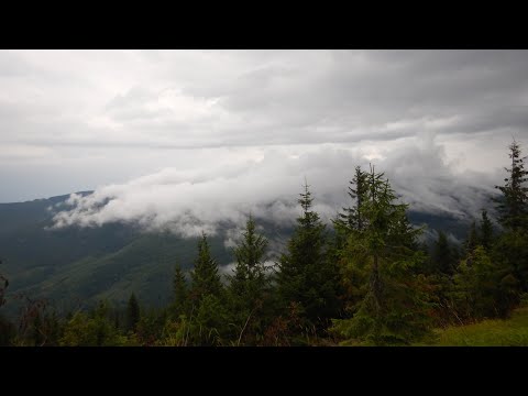 Видео: Хмари в Карпатах. Над полониною Мшана. Між горами Горган Ілемський-Яйко Ілемське.