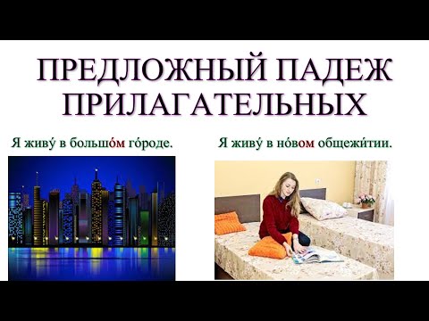 Видео: Предложный падеж прилагательных и порядковых числительных. Текст для пересказа.