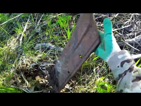 Видео: Металлокоп и не только ⚙🐟