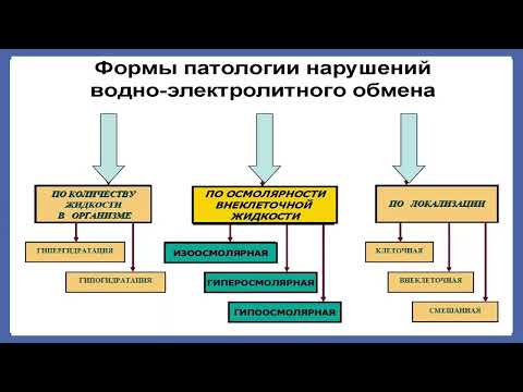 Видео: Нейроэндокринные стереотипы в отделении реанимации и интенсивной терапии