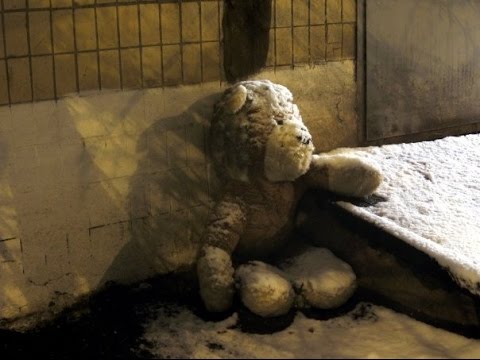 Видео: АСМР/ASMR Вшиваем сердечко медвежонку/ Heart to Bear/Russian whispers