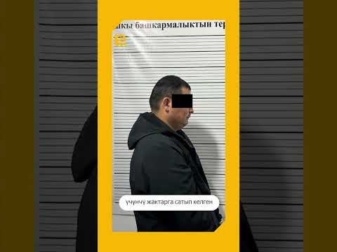 Видео: БАЮНУН ЖОЛУН ТАПКАН КЫРГЫЗСТАНДЫК