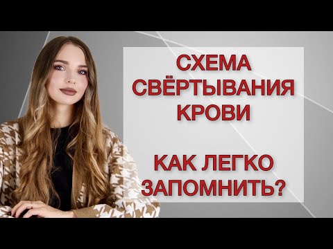 Видео: Свёртывание крови. Как легко запомнить каскад свёртывания?