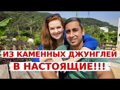 Видео: Из каменных джунглей в настоящие! Мы нашли Рай и встретили Леопарда? Особый завтрак для Аамира!