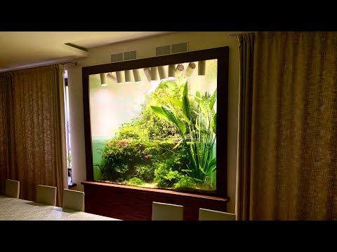 Видео: Аквариумпермь.рф - №16 Природный аквариум на 700 литров с водопадом и пескопадом