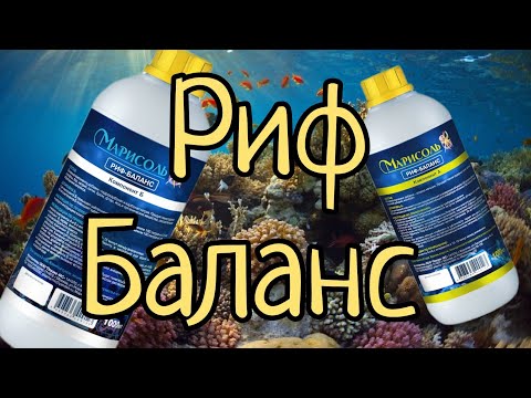 Видео: Марисоль риф-баланс