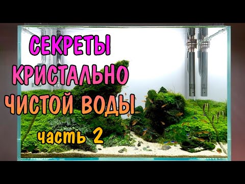 Видео: СЕКРЕТЫ КРИСТАЛЬНО ЧИСТОЙ ВОДЫ. ЧАСТЬ 2