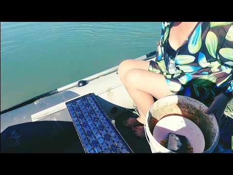 Видео: РЫБАЛКА без СЕТЕЙ река ИЛЕ,  Қазақстан, конец АВГУСТА 2023г. БОГАТЫЙ  УЛОВ сазаны, амуры,вобла.