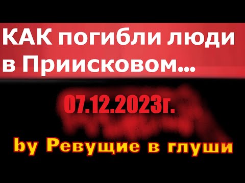 Видео: Почему погибли люди в Приисковом...? Что произошло за перевалом...