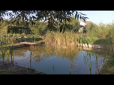 Видео: 😱😱😱Копанка викопана лопатою.Я це зробив🐟🦈🦐🦂🦞🐠🌊👍