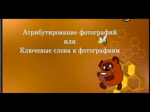 Видео: Атрибутирование фотографий.  Ключевые слова к фотографиям на стоки.