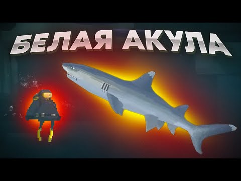 Видео: Dave the Diver. ПОЙМАЛИ И ПРИГОТОВИЛИ АКУЛУ!