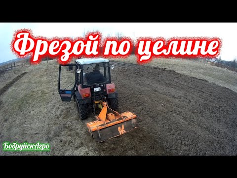 Видео: Фрезеруем целину минитрактором Беларус 320.3