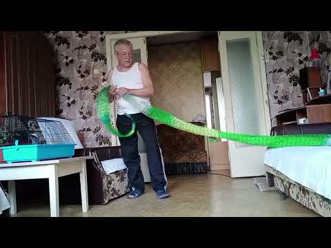 Видео: Кастинговая сеть 5,5м.