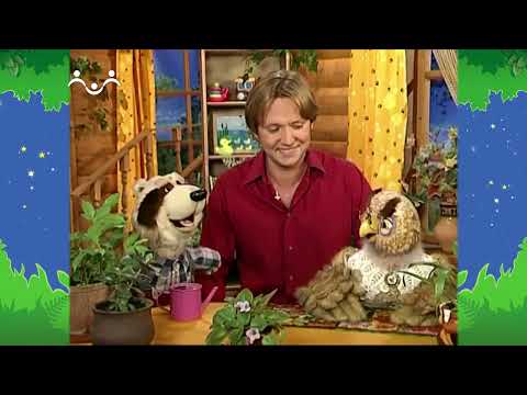 Видео: Вечер в Шишкином Лесу. Новый сад Совы