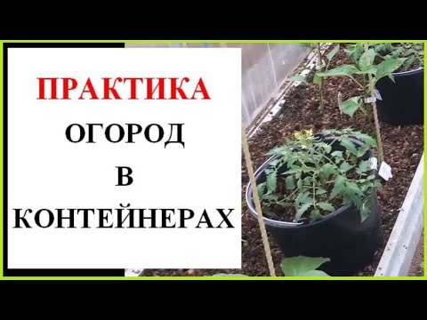 Видео: Огород в контейнерах. Тонкости выращивания.