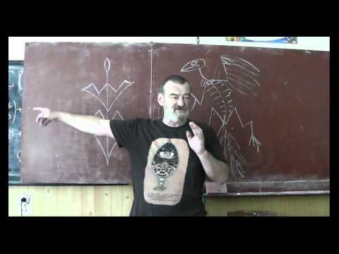 Видео: Драконоведение. Часть 27