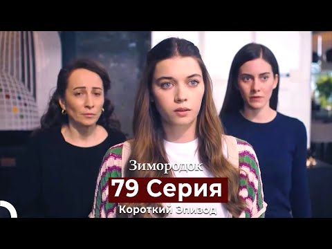 Видео: Зимородок 79 Cерия (Короткий Эпизод) (Русский дубляж)