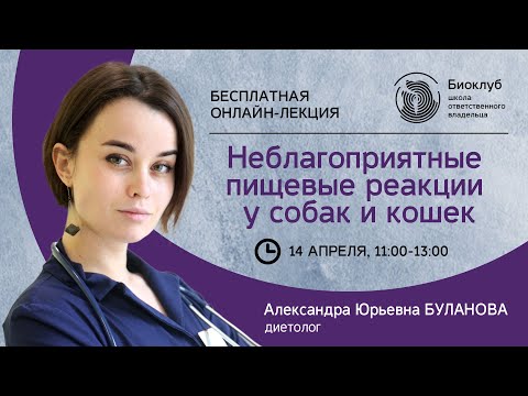 Видео: Неблагоприятные пищевые реакции у собак и кошек