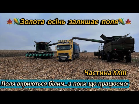 Видео: Жнива без поломок не бувають! Ресора не витримала,попереду ще багато роботи на Хмельниччині.