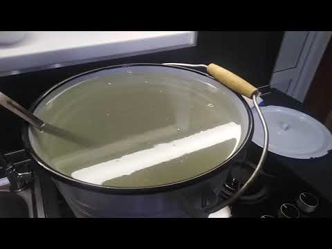 Видео: Ставлю брагу на березовом соке