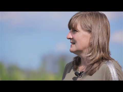 Видео: Как добиться богатого урожая земляники садовой? Посадка рассады фриго.