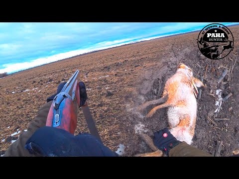 Видео: Охота на зайца. ВОЗВРАЩЕНИЕ ИЖ 27. Охота по чернотропу. Сезон 2021-2022. Восьмой выход.