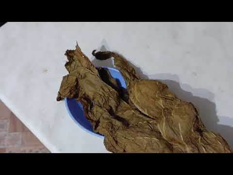 Видео: На водяной бане можно исправить не кондицию