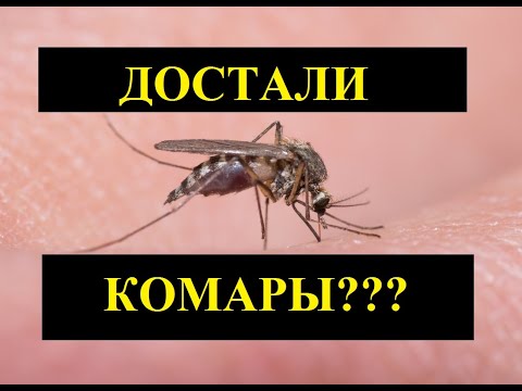 Видео: ЛОВУШКА для КОМАРОВ за 5 мин.Дедовский метод....