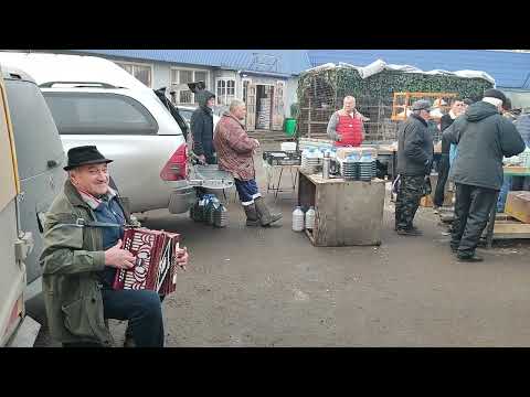 Видео: 8.11.2025г Танцы ст.Бронницы