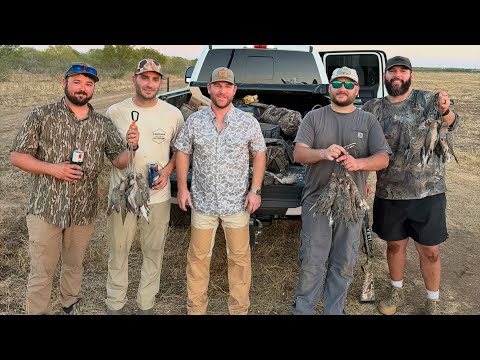 Видео: День 2 | Охота на голубей на юго-западе Техаса | Double H Outfitters | Охота утром и вечером