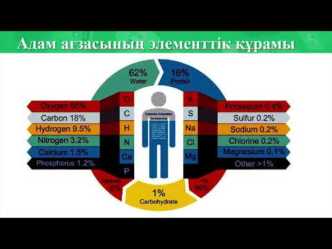 Видео: Пәні: Химия Сыныбы: 7 Тақырыбы: «Адам ағзасындағы химиялық элементтер тыныс алу үдерісі»