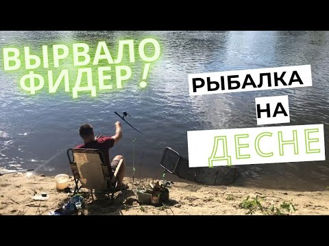 Видео: 🎣 Десна 2022. Вырвало фидер с рук. Пулеметный клев. Ловим коротышом.