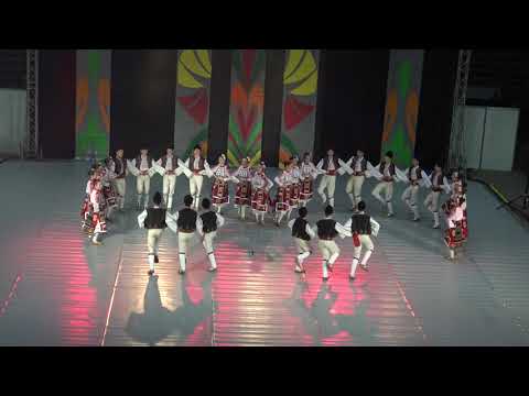 Видео: Каменополско