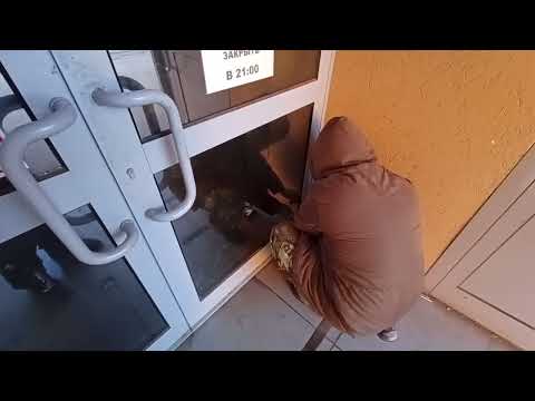 Видео: Если провисла алюминиевая дверь и задевает об пол и не закрывается доводчиком ее надо всего лишь...